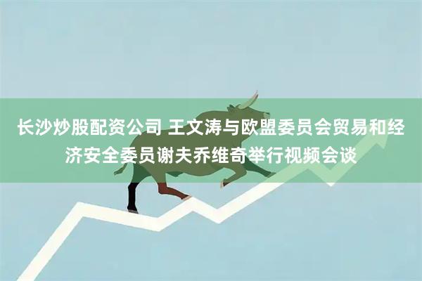长沙炒股配资公司 王文涛与欧盟委员会贸易和经济安全委员谢夫乔维奇举行视频会谈