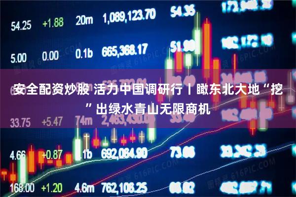 安全配资炒股 活力中国调研行丨瞰东北大地“挖”出绿水青山无限商机